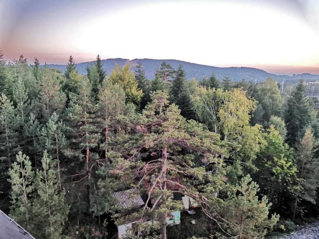 Divcibare Planinski Mir A19 Екстер'єр фото