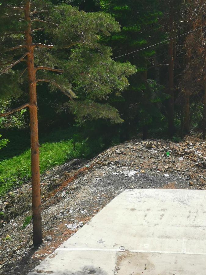 Divcibare Planinski Mir A19 Екстер'єр фото